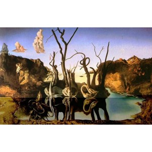 Gulbės, atspindinčios dramblius Salvador Dali 1000d.